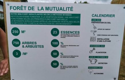 Les explications
